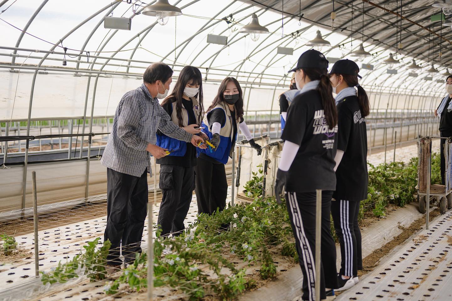 Sinh viên trường Đại học Khoa học Kyongbuk được trải nghiệm nhiều hoạt động tình nguyện