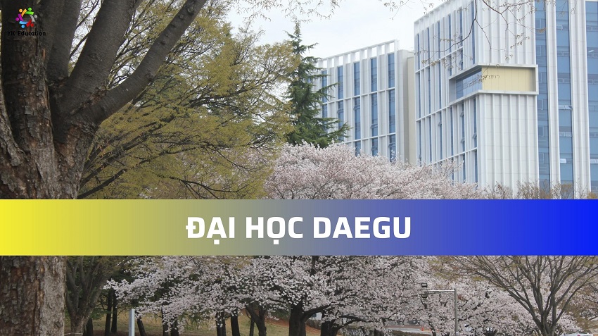 ĐẠI HỌC DAEGU – 대구대학교