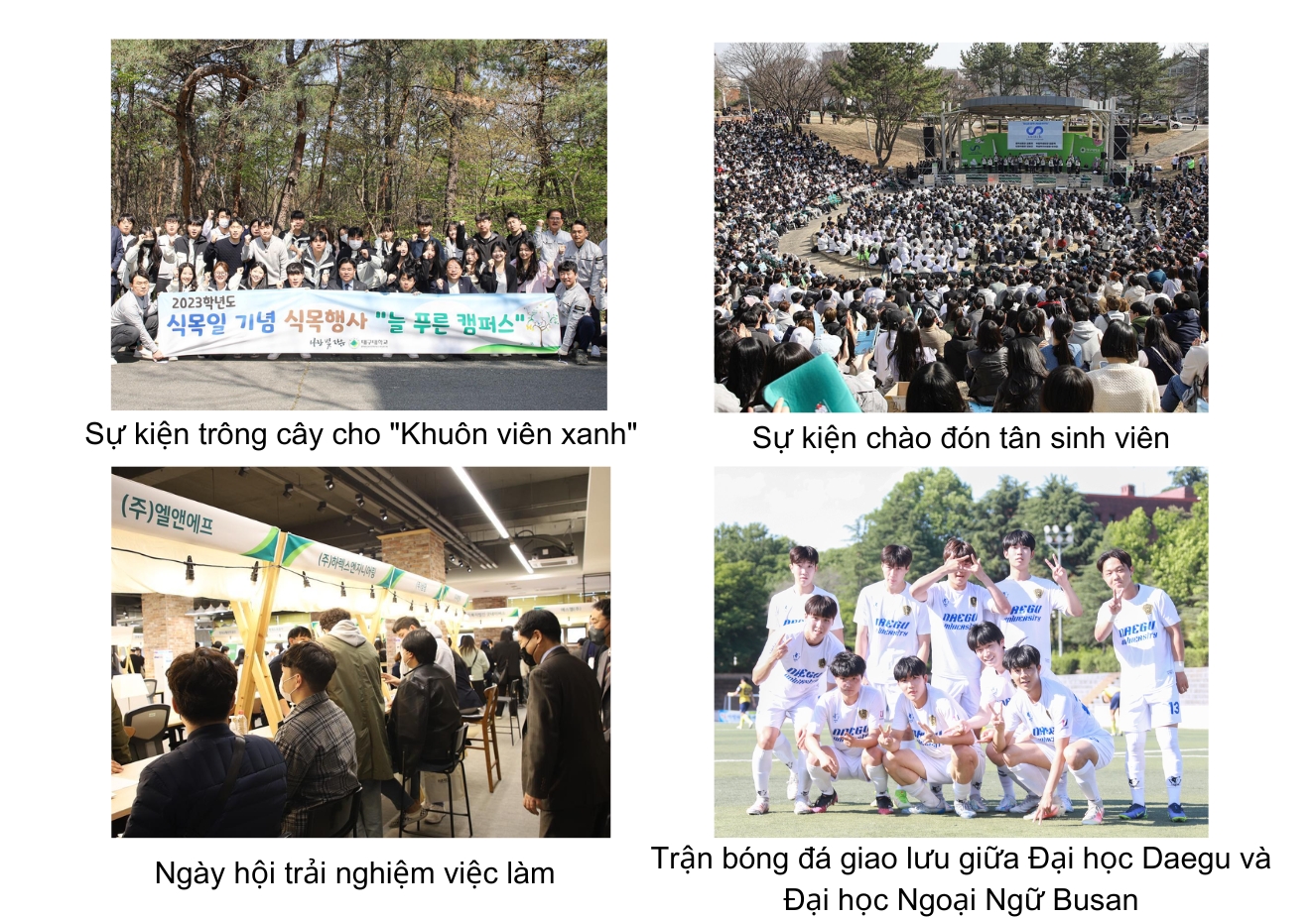 Hoạt động ngoại khóa tại trường Đại học Daegu