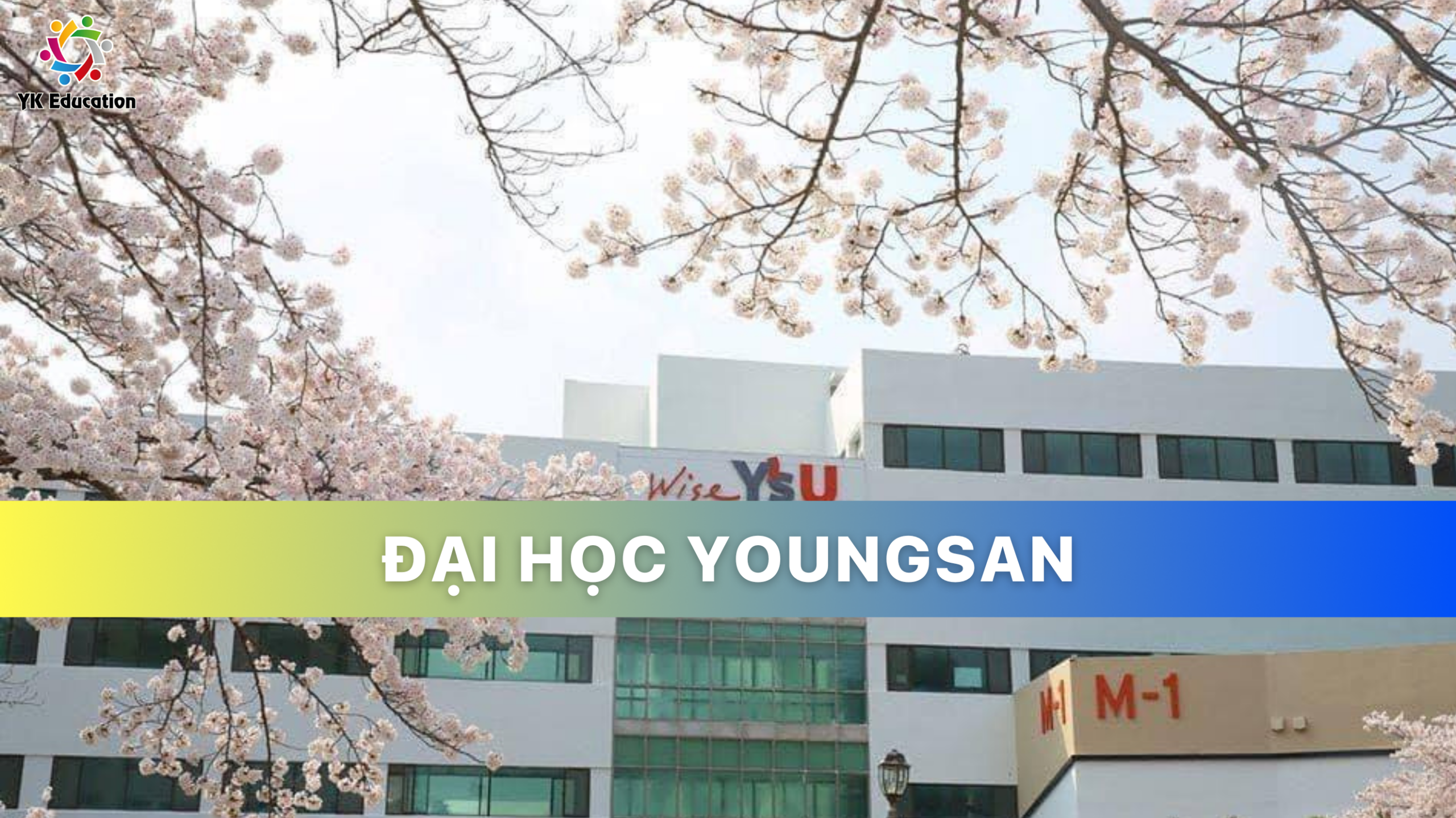 ĐẠI HỌC YOUNGSAN – 연산대학교