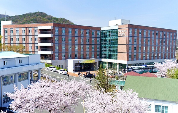 Đại học Daegu Haany - Đào tạo Y học cổ truyền Hàn Quốc
