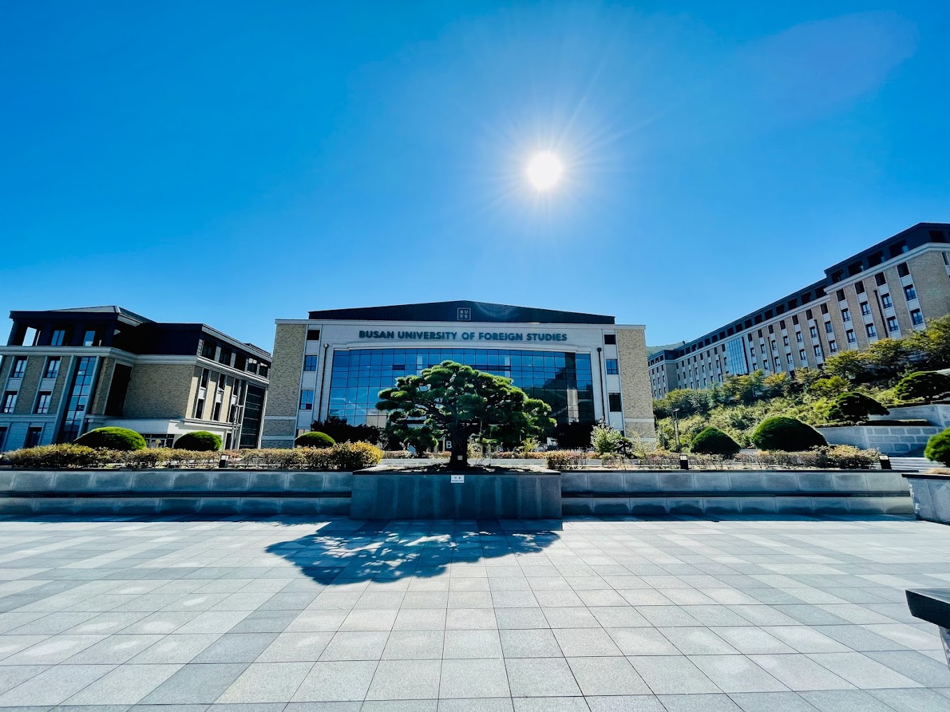 Đại học Ngoại ngữ Busan (BUFS)