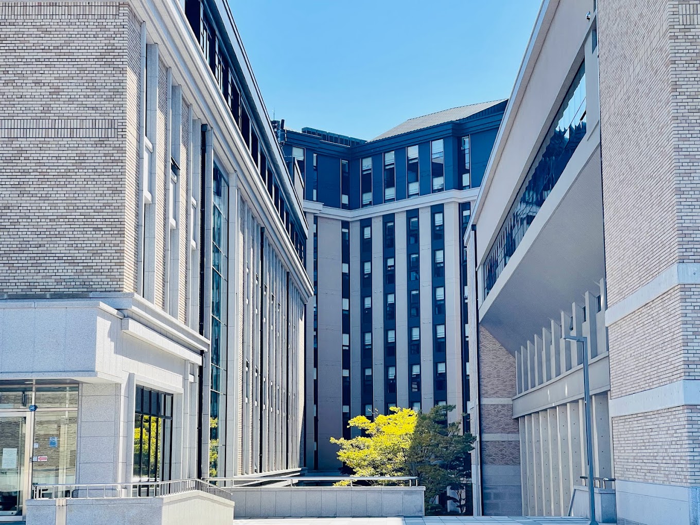 Đại học Ngoại ngữ Busan (BUFS)