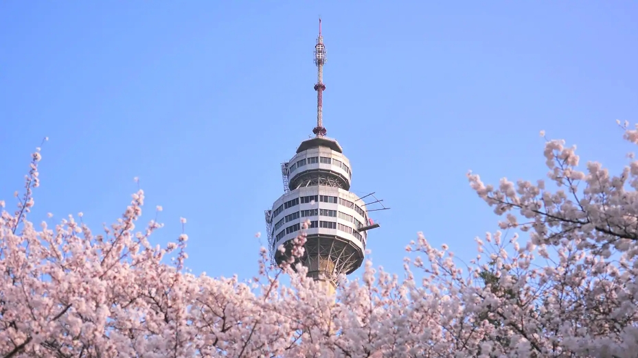 Du học tại thành phố công nghiệp Daegu